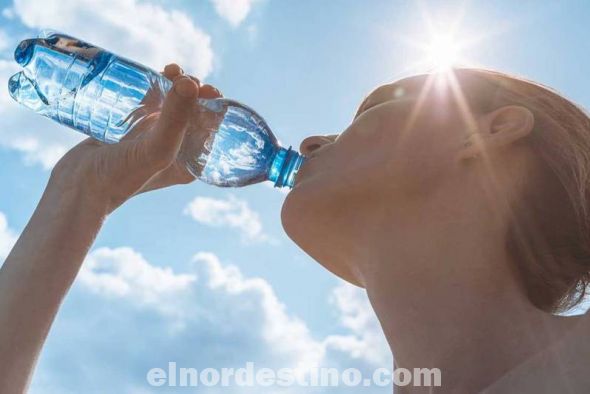 El 70% y el 80% de la hidratación diaria debería provenir de diferentes tipos de bebidas, preferiblemente de manera directa a través de la ingesta de agua, mientras que entre el 20% y el 30% restante puede hacerlo de los alimentos sólidos. (Foto: Divulgación).