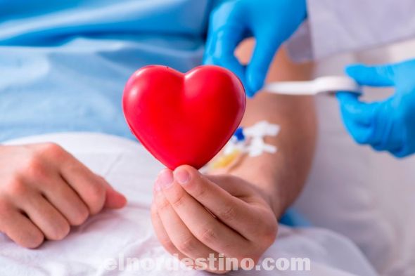 De las personas con enfermedades hematológicas, sólo entre el 25 y 30 por ciento de estos pacientes tiene la posibilidad de encontrar un donante compatible en su grupo familiar. (Foto: Divulgación).