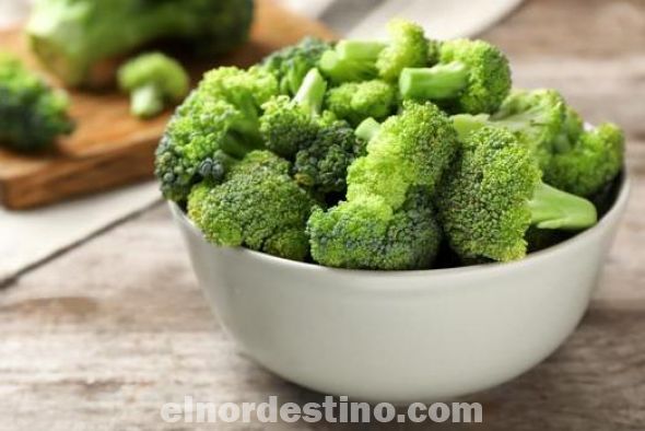 El brócoli, o brécol, es una hortaliza cuya temporada más óptima de consumo oscila entre los meses de octubre y febrero, aunque bien es cierto que podemos encontrarlo durante todo el año. Se trata de una verdura versátil en la cocina que aporta beneficios a la salud. (Foto: cocina rica)