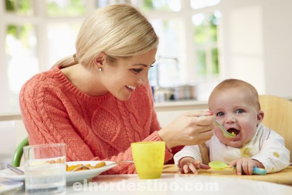Cada niño es un mundo y único en su forma de ser y también de comer. Según un estudio realizado por la Universidad de California, más de un 80% de los padres y cuidadores obliga a comer a los niños. (Foto: Mujer de Hogar).