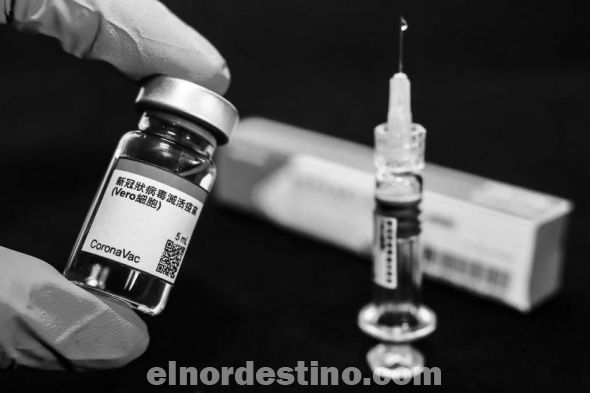 La vacuna Sinovac ya fue aprobada en varios países de Sudamérica como Uruguay, Chile, Colombia, Brasil y Argentina. También fue parte de una donación de 3.000 dosis que los Emiratos Árabes Unidos envió a Paraguay hace algunas semanas. (Foto: Divulgación).