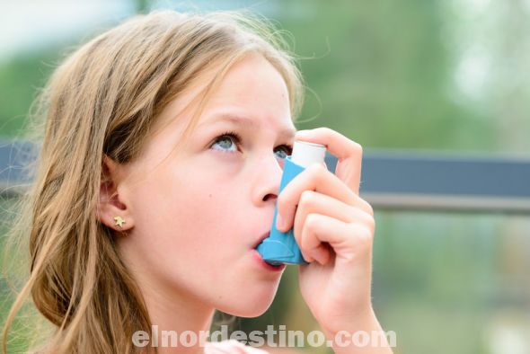 Los resultados demostraron que el sistema circadiano tiene un impacto independiente en la gravedad del asma. Según los autores, el estudio revela el potencial para mejorar las estrategias terapéuticas teniendo en cuenta el tiempo biológico interno de los individuos. (Foto: EFE).