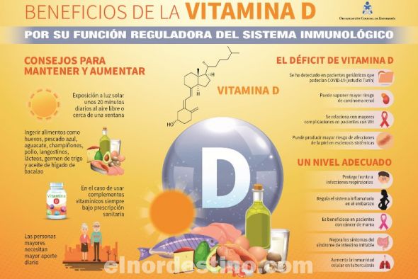 La Vitamina D ayuda a mantener los huesos, músculos y nervios saludables, como también a mejorar el estado de ánimo general. Las formas naturales de adquirir la vitamina D son la exposición al sol y el consumo de alimentos como pescados, queso, hongos, yema de huevos y lácteos. (Foto: Redacción Médica).