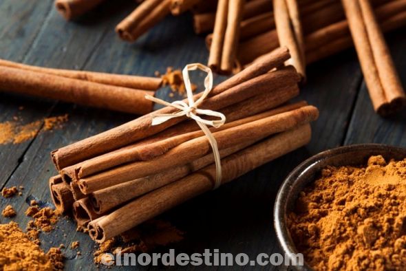 Si se le añade un poco de jengibre al té de canela, este proporcionará elementos expectorantes, los cuales despejan la nariz y alivian los problemas en vías respiratorias. Ayuda a controlar los niveles de colesterol y los triglicéridos, reduce los niveles de glucosa en sangre, es recomendable para las personas con diabetes. (Foto: Mejor Salud).