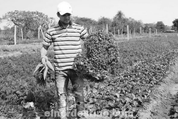 Un agricultor de Concepción sobresale en la producción hortícola con un precario sistema de irrigación