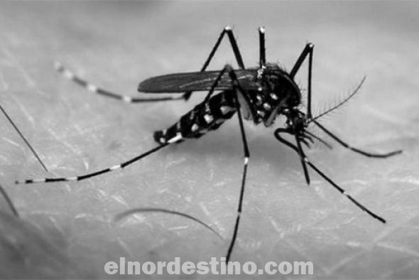 El Ministerio de Salud Pública tiene plan para enfrentar Ébola y pide eliminación de criaderos de mosquitos