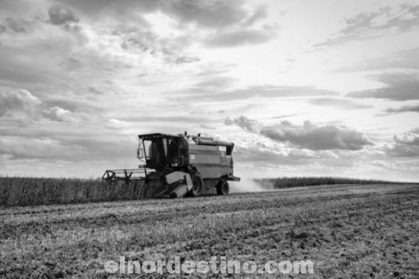 En lo que va de 2014 la cosecha de soja en Paraguay ya superó las nueve millones de toneladas