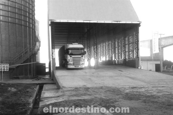 Noventa mil toneladas de soja provenientes de Brasil llegarán mensualmente al Puerto Granelero  de Concepción 