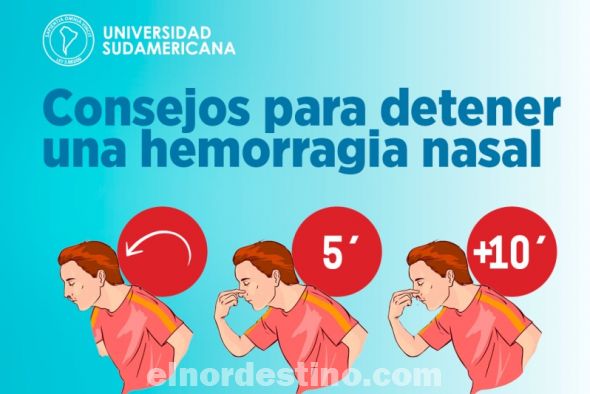 Consejos de Universidad Sudamericana para detener una hemorragia nasal causada por irritaciones menores o resfriados 