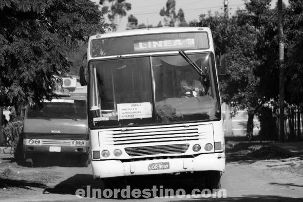 Intendente municipal Acevedo anuncia regreso de servicio público de pasajeros urbano en Pedro Juan Caballero