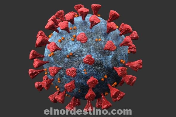 Científico israelí asegura que la propagación del coronavirus disminuye a casi cero después de setenta días