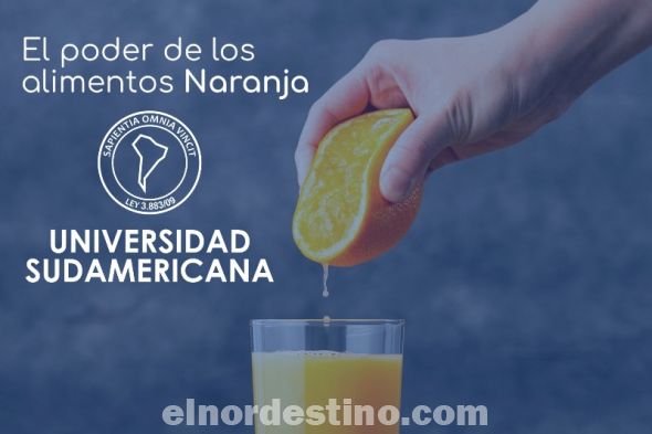 Universidad Sudamericana sugiere consumir naranja por sus propiedades curativas, beneficios y aportes nutricionales