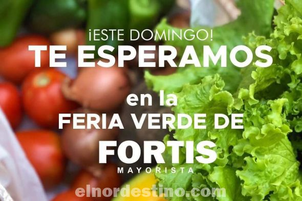 FORTIS Mayorista respaldará a los productores de la ciudad de Concepción realizando una feria denominada “Domingo Verde”