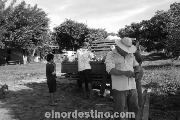 Humilde productor de mandioca regaló dos mil kilos de mandioca de su chacra a vecinos de un asentamiento de Yby Yaú