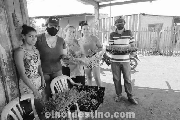 Gobernación de Amambay sigue con la distribución gratuita de mudas de hortalizas a familias de distintos barrios y fracciones