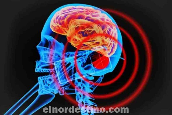 La radiación de los celulares podría aumentar el riesgo de tumores cerebrales, el peligro es eminente hacia nuestra salud